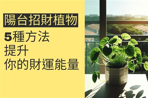 前陽台 招財植物|前陽台招財植物指南：打造事業財運新篇章 